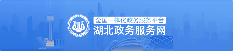 湖北政务服务网
